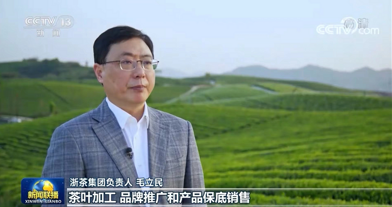 有关于央视联播关注安吉白茶助力贵州普安百姓脱贫增收的新闻(5)