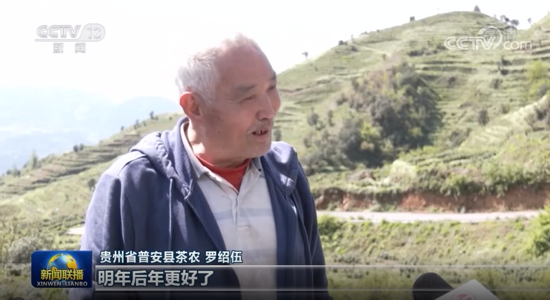 有关于央视联播关注安吉白茶助力贵州普安百姓脱贫增收的新闻(3)