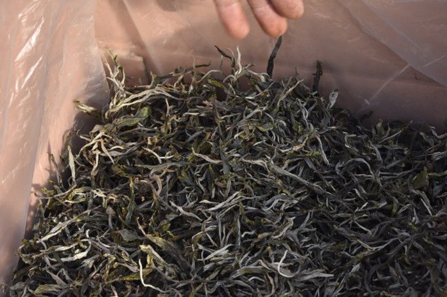 关于一周热门：生态茶园行业标准、八角亭那卡大象、学茶的8个阶段的资讯(1)