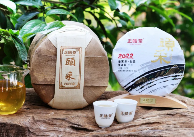 关于一周热门:生态茶园行业标准、八角亭那卡大象、学茶的8个阶段的资讯(7)