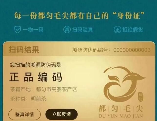有关于黔茶飘香!都匀毛尖乘势而上,再创佳绩的新闻(4)