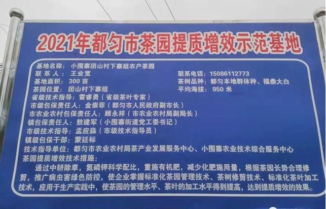 有关于黔茶飘香!都匀毛尖乘势而上,再创佳绩的新闻(2)