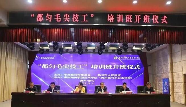 有关于黔茶飘香!都匀毛尖乘势而上,再创佳绩的新闻(1)