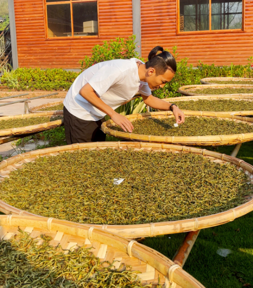 关于创新方式传播茶文化 凯文这样讲述品茶故事的最新消息(2)