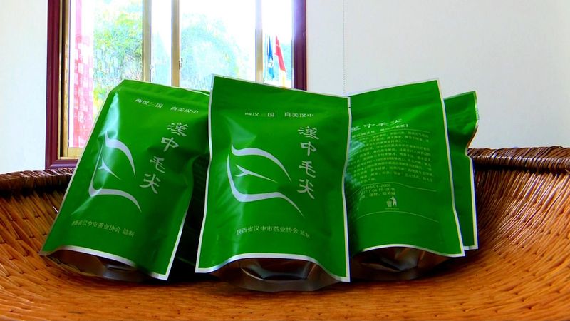 有关于从“陕茶1号”看镇巴茶人的梦想坚守的信息(4)