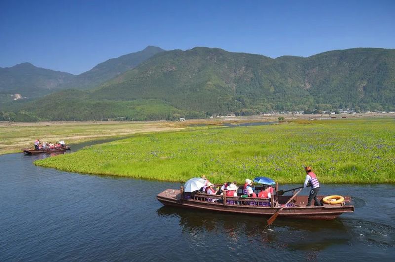 关于2022全国茶旅精品线路候选线路欣赏:腾冲高黎贡山茶旅走廊的资讯(2)