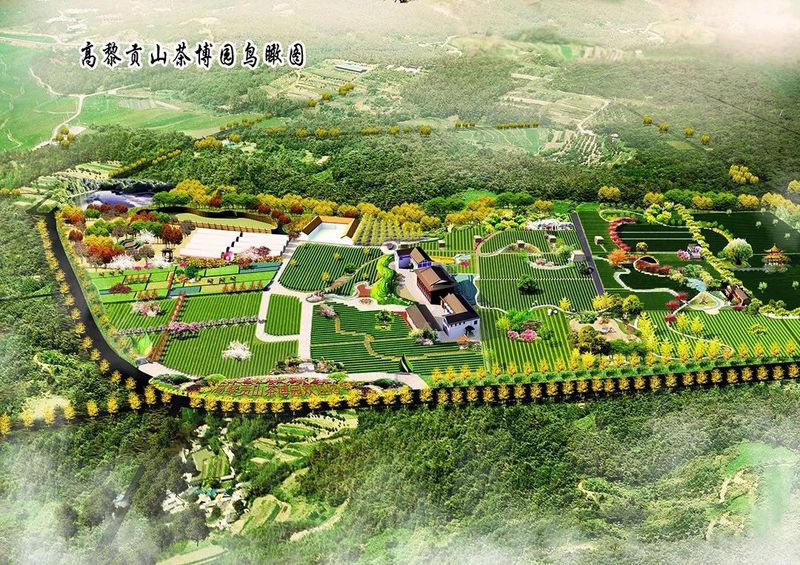 关于2022全国茶旅精品线路候选线路欣赏:腾冲高黎贡山茶旅走廊的资讯(4)