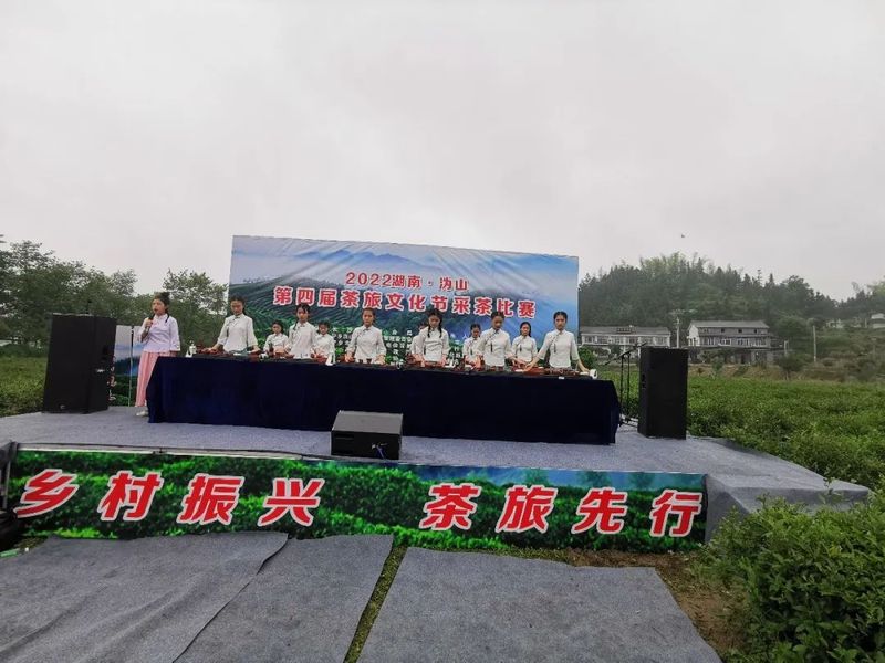 有关于2022湖南·沩山第四届茶旅文化节采茶比赛开幕的内容(2)