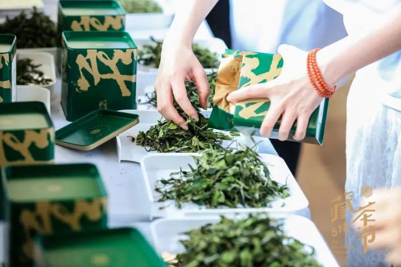 有关于 2022（第三届）中国白茶鉴赏大会通告的资讯(2)