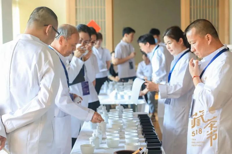 有关于 2022（第三届）中国白茶鉴赏大会通告的资讯(5)