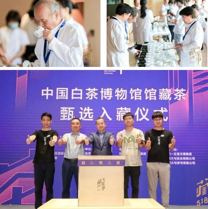 有关于 2022（第三届）中国白茶鉴赏大会通告的资讯(1)