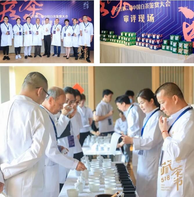 有关于 2022（第三届）中国白茶鉴赏大会通告的资讯