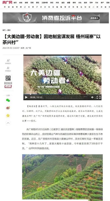 有关于央广网聚焦梧州六堡镇山坪村，讲述瑶寨“以茶兴村”的故事的相关信息