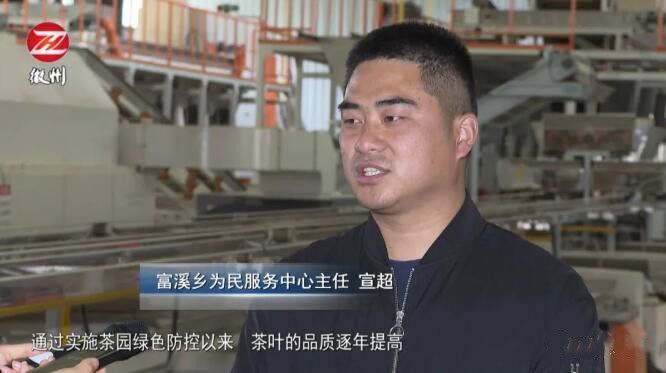 有关于“茶叶合格率99%”“福鼎伏季休茶”“武夷山无人机运春茶”“湄潭茶叶出口额超1000万”的最新消息(7)