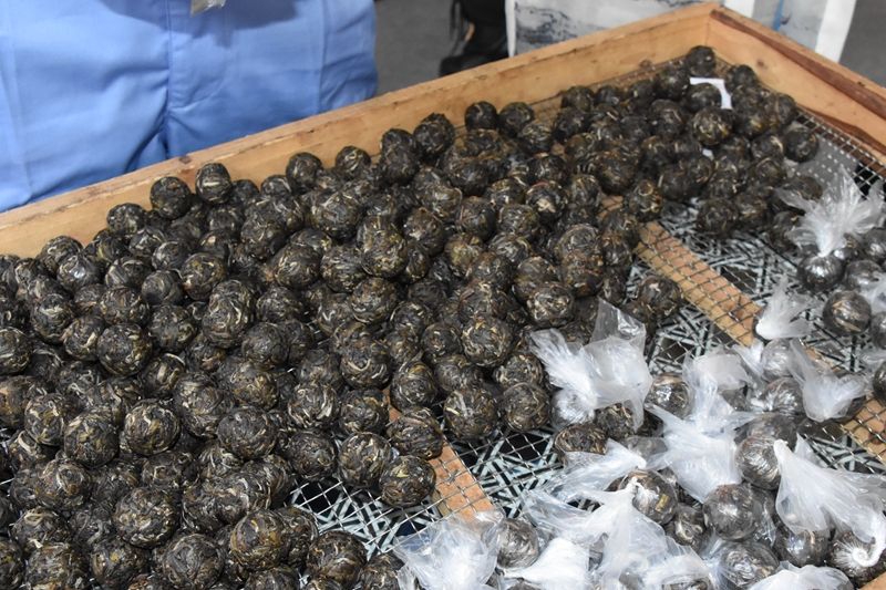 有关于“茶叶合格率99%”“福鼎伏季休茶”“武夷山无人机运春茶”“湄潭茶叶出口额超1000万”的最新消息(1)