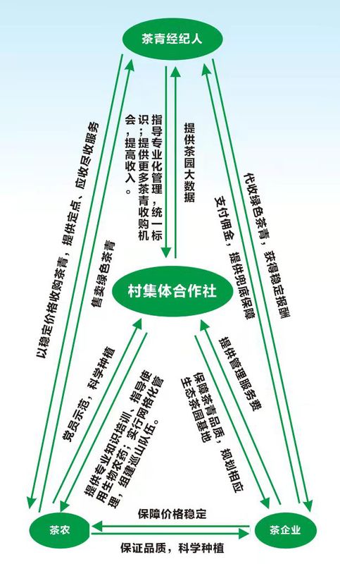 关于管阳镇召开伏季休茶工作推进座谈会:探索新模式的信息(7)