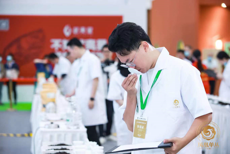 有关于开创凤凰单丛茶拼配赛事先河！2022凤凰单丛拼配大赛圆满举办！的新闻(4)