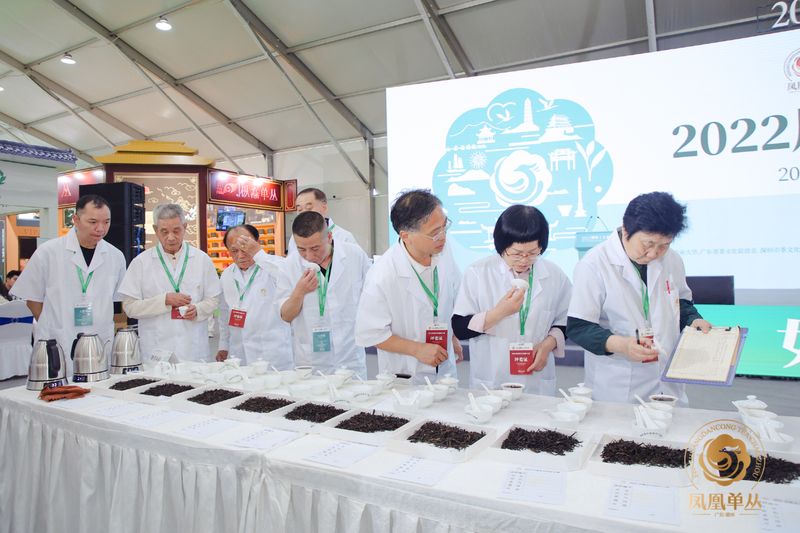 有关于开创凤凰单丛茶拼配赛事先河！2022凤凰单丛拼配大赛圆满举办！的新闻(8)
