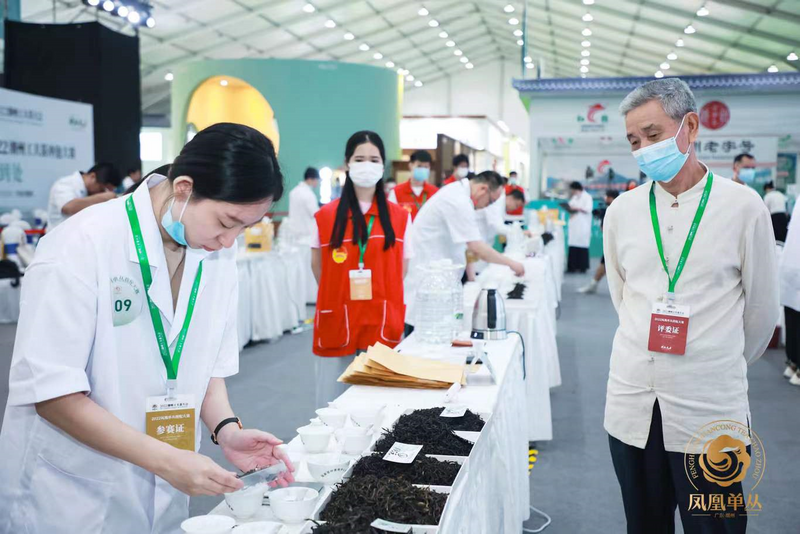 有关于开创凤凰单丛茶拼配赛事先河！2022凤凰单丛拼配大赛圆满举办！的新闻(5)
