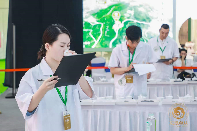 有关于开创凤凰单丛茶拼配赛事先河！2022凤凰单丛拼配大赛圆满举办！的新闻(3)