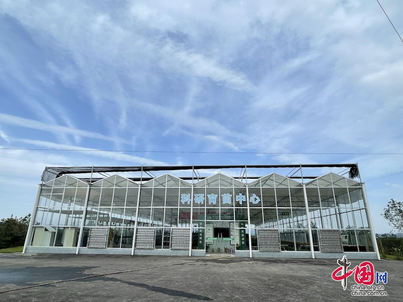 关于广元旺苍：科技赋能 小茶叶成为乡村振兴的大产业的新闻(1)