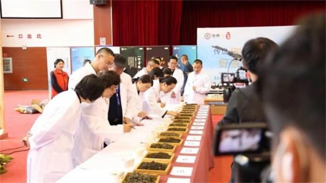 有关于振兴茶产业,做好茶文章,我们责无旁贷!的内容(5)