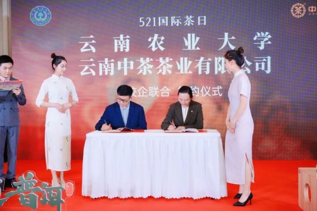 有关于振兴茶产业,做好茶文章,我们责无旁贷!的内容(2)