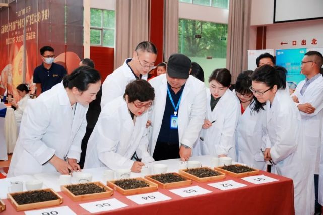 有关于振兴茶产业,做好茶文章,我们责无旁贷!的内容(4)