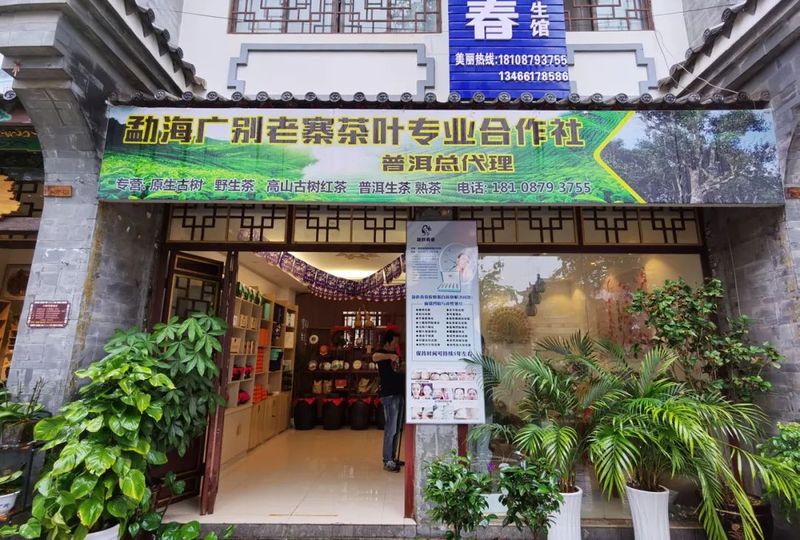 关于普洱市2022年国际茶日饮茶活动精彩回放（二）的信息(6)