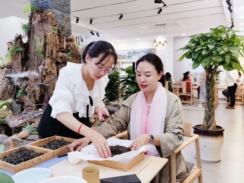 关于普洱市2022年国际茶日饮茶活动精彩回放(二)的信息(1)