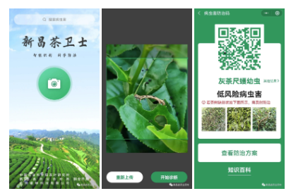 关于“茶叶健康码”教你如何精准防控!的消息(2)