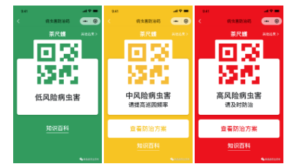 关于“茶叶健康码”教你如何精准防控!的消息