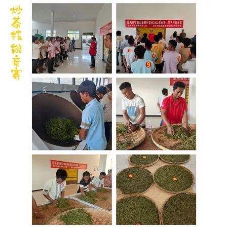 有关于耕耘边疆践行作风效能革命 科技兴农谱布朗茶山振兴新篇章的相关信息(2)