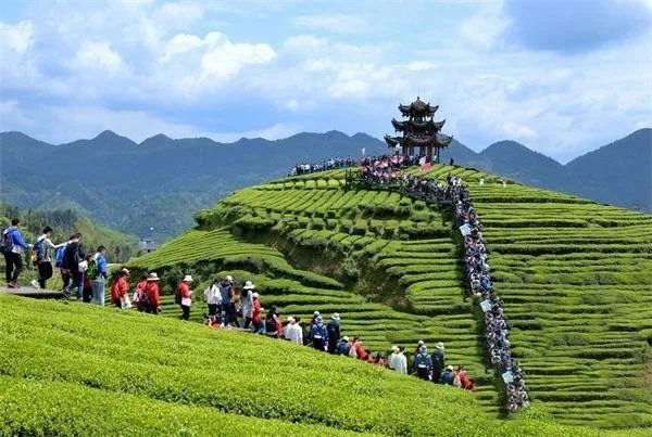 关于2.6倍的“硒均值”,世界硒都恩施腾飞“硒”望的最新消息(2)