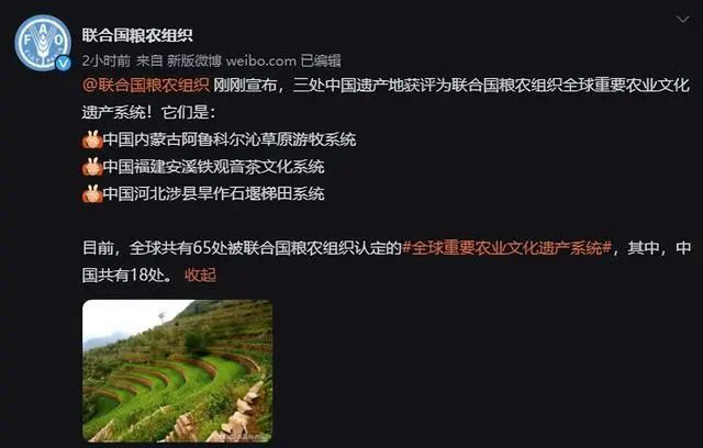 关于除铁观音外,这些茶也是全球重要农业文化遗产!的相关内容