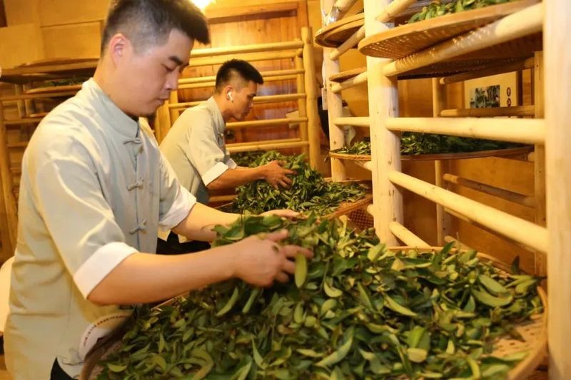 关于什么是“岩骨花香”?这份白皮书这样说……的消息(3)