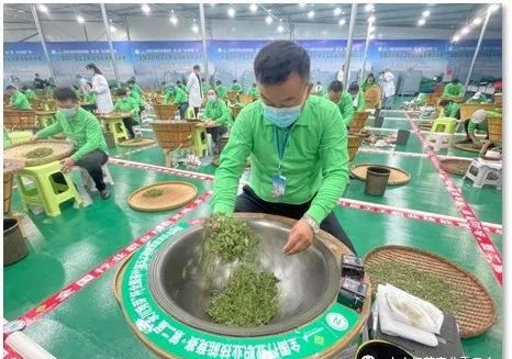 有关于2022国际茶日，中国茶产业十大关键词解析！的相关内容(6)