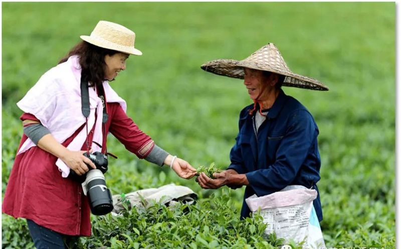 有关于2022国际茶日，中国茶产业十大关键词解析！的相关内容(7)