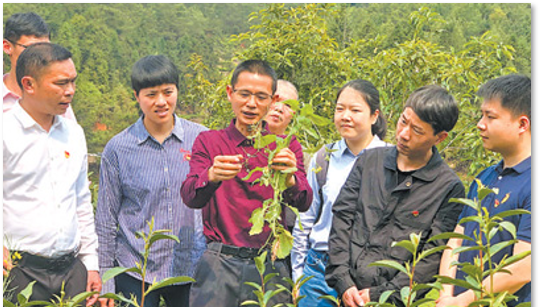 有关于2022国际茶日，中国茶产业十大关键词解析！的相关内容(5)
