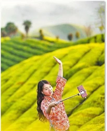 有关于2022国际茶日，中国茶产业十大关键词解析！的相关内容(4)