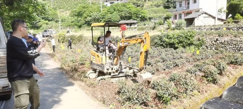 有关于箬坑乡：果断出击! 严厉处置茶园违规用药事件的资讯