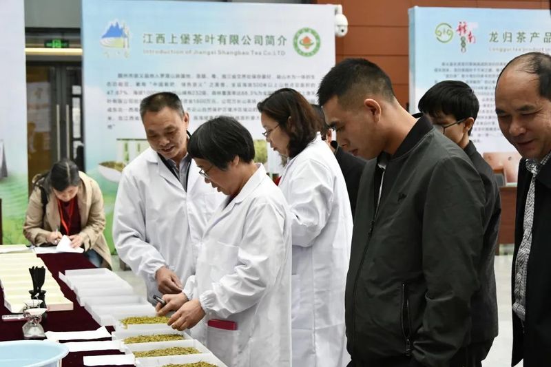 有关于5·21国际茶日， ​每一缕茶香 绽放江西力量的新闻(6)