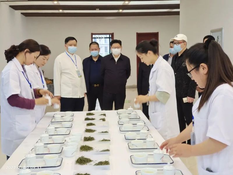 有关于5·21国际茶日， ​每一缕茶香 绽放江西力量的新闻(7)