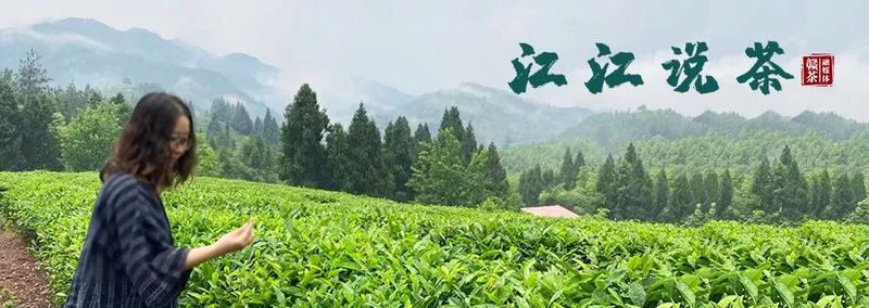 有关于5·21国际茶日， ​每一缕茶香 绽放江西力量的新闻(11)