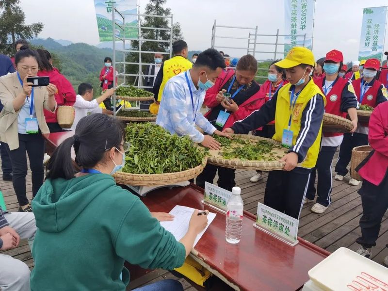 关于号外号外！2022年贵州省双手采茶技能竞赛“金手指”出炉！的新闻(3)