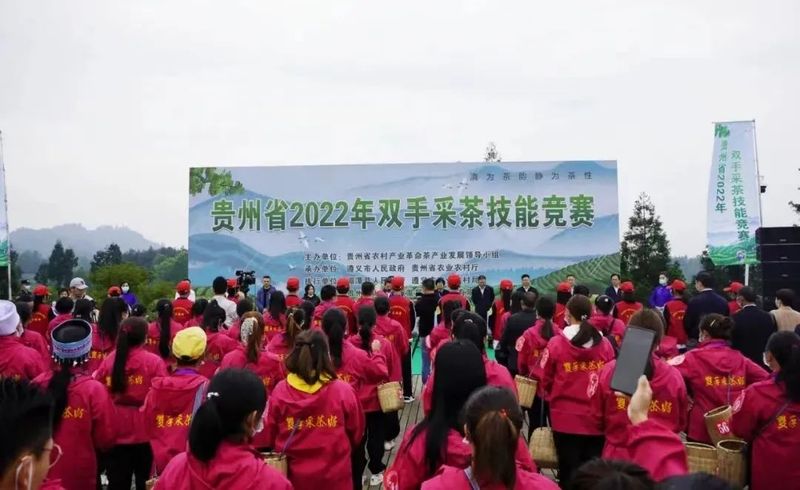 有关于胡继承在2022年贵州双手采茶技能竞赛颁奖仪式上的讲话的消息(4)