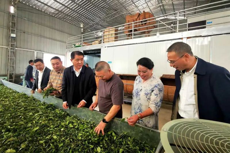 关于景宁市县政协联动开展助推茶产业发展专题调研的新闻