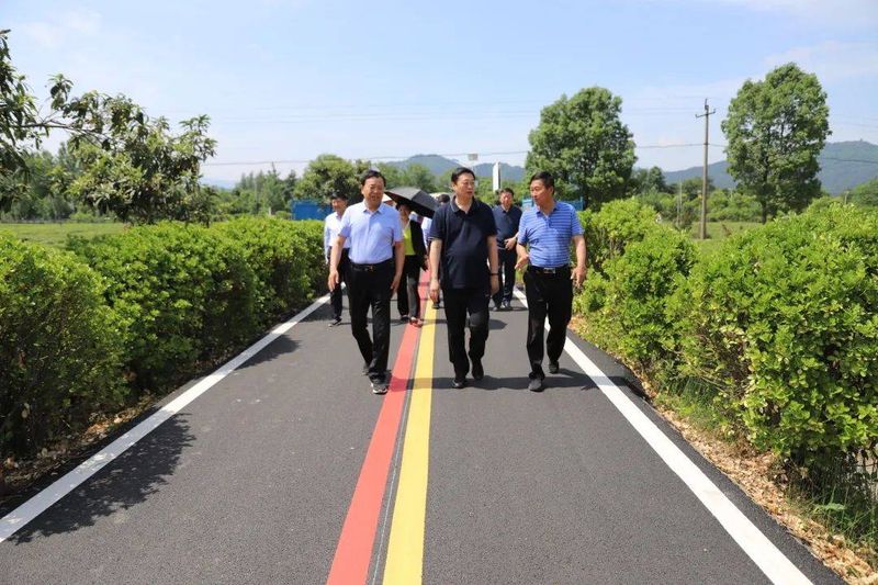 有关于“智囊团”助力桐柏“三茶”高质量发展的资讯(1)