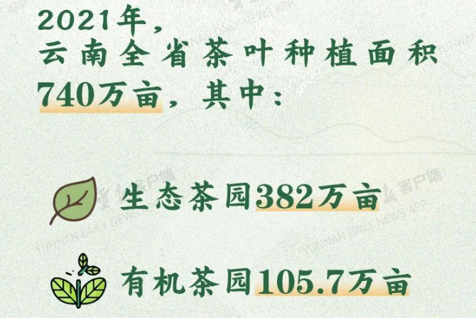 有关于“2022国际茶日”“中国茶产业关键词”“2022中国茶叶区域公用品牌价值”的新闻(5)
