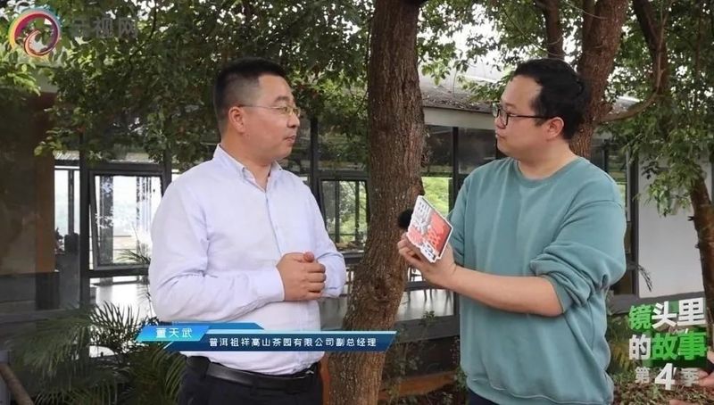 有关于思茅区：属于一片普洱茶的“只此青绿”的最新消息(2)